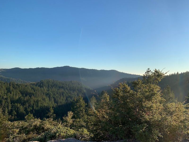 See How the Landscape Changes From Creekside Forest to Sunny Chaparral