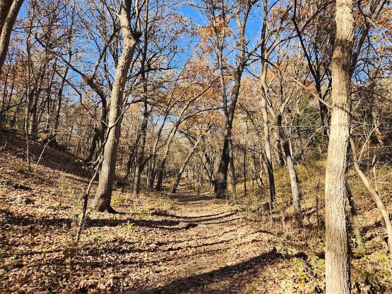 This Underrated Nebraska Park Packs Forest Trails, Wildlife And An Impressive Aquarium Into One Easy Escape - Decor Hint Join A Guided Hike Or Seasonal Nature Program