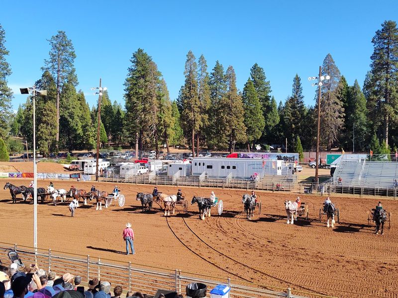 Cheer During The Action-Packed Arena Events
