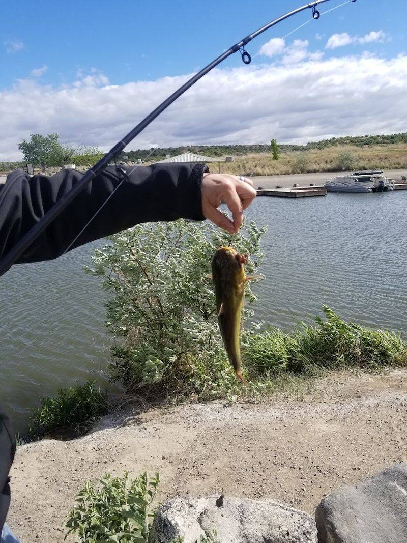 Fishing That Actually Delivers