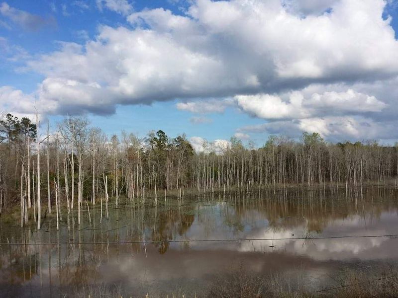 9 Georgia Towns Experiencing Long-Term Population Changes - Decor Hint Cuthbert