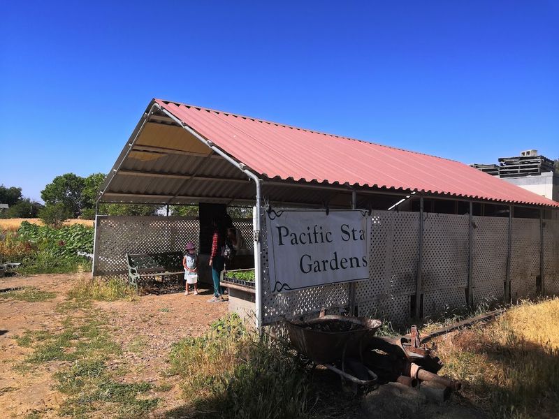 Pacific Star Gardens, Woodland