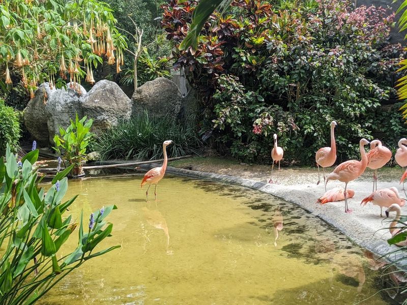 Sunken Gardens, St. Petersburg