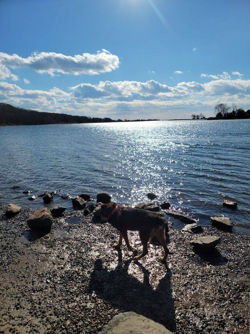 11 Pet-Friendly Places In Connecticut Perfect For A Weekend Adventure - Decor Hint Bluff Point State Park, Groton