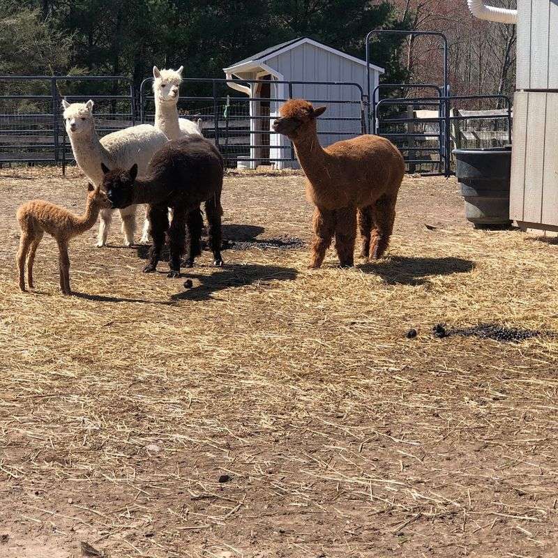 A Farm Tour Full Of Surprises