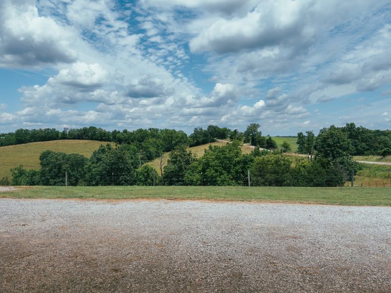 The Fluffiest Cows In Kentucky Live On This Farm And You Can Meet Them Up Close - Decor Hint The Farm Setting That Makes Kentucky Proud