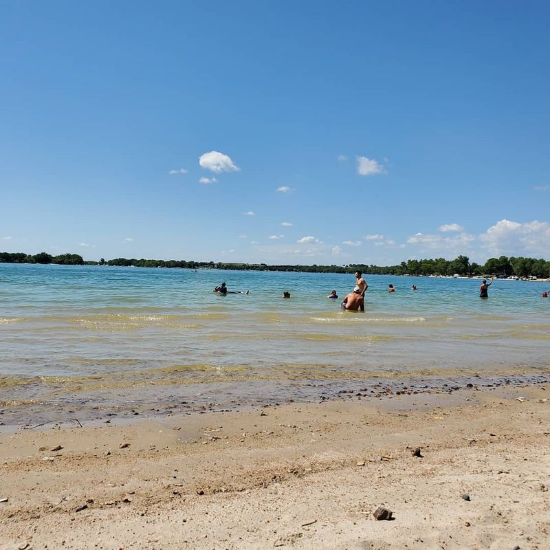 Why Pets Face Special Danger Around Algae Blooms