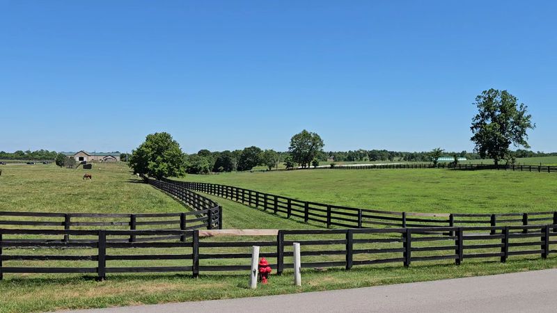 The Surrounding Versailles Area Worth Exploring