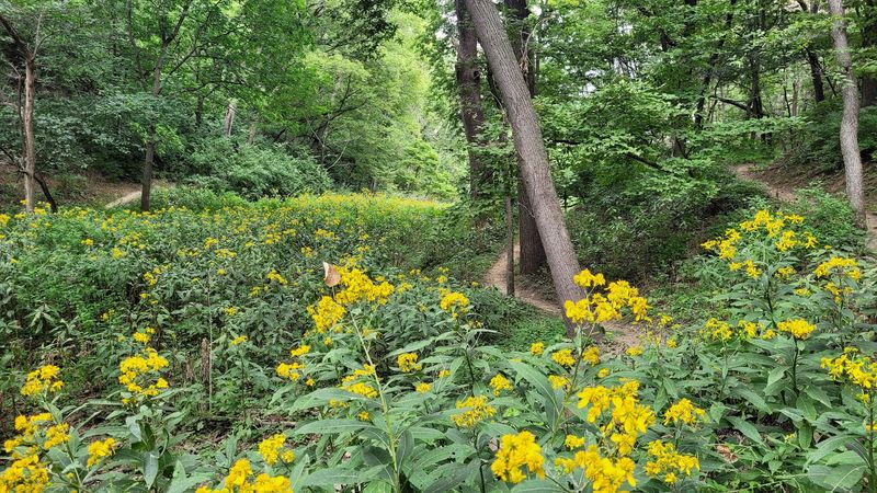 This Nebraska Bike Destination Is Unlike Anywhere Else In The State - Decor Hint Wildlife And Nature Along The Way