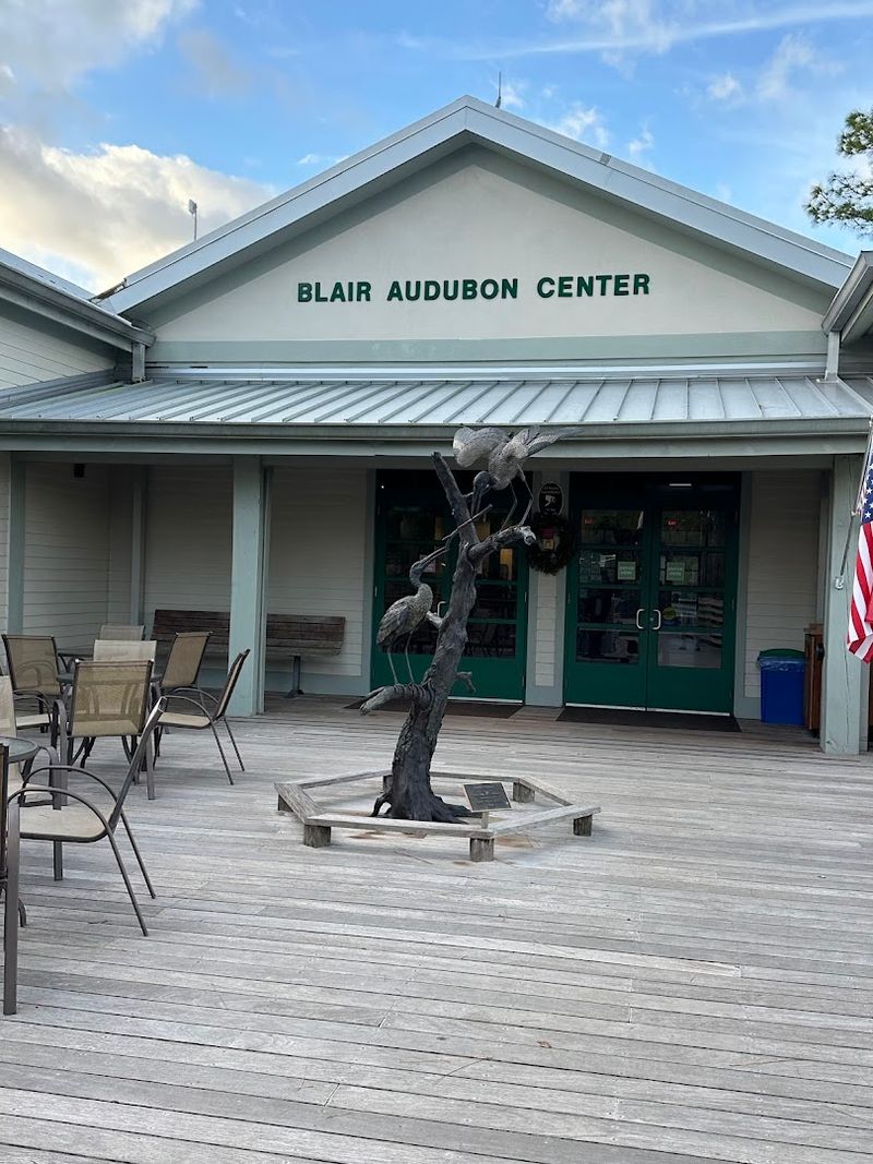 This 2-Mile Florida Trail Is Our July Hike Of The Season - Decor Hint The Visitor Center And What You Need To Know Before You Go