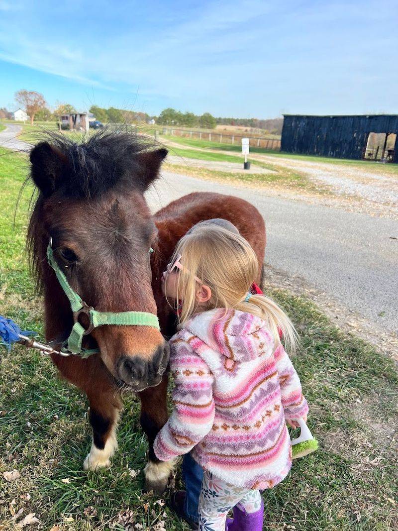 Farm Chores For Kids