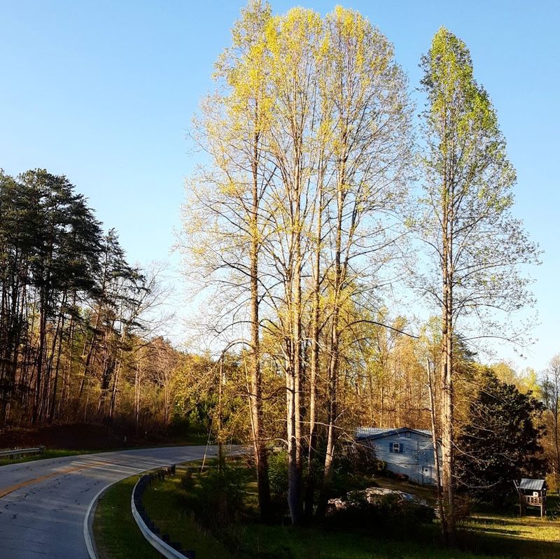 This Tiny Georgia Town Feels Like A Weekend Escape With Surprisingly Big Culinary Charm - Decor Hint The Perfect Retreat