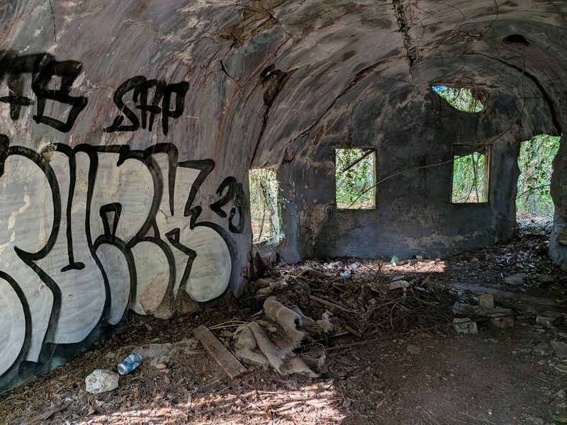 How Locals Feel About Their Tiny Woodland Neighbors