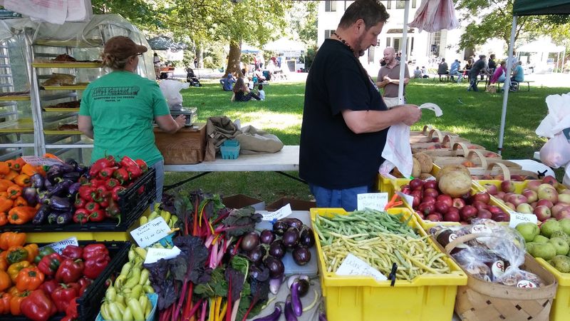 The Farmers Market Experience