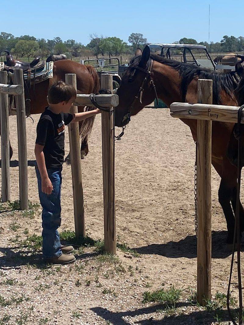 This Nebraska Horseback Adventure Offers The Kind Of Experience That Shifts Your Perspective - Decor Hint What Beginners Experience Here