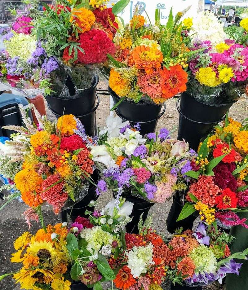 Flowers, Plants, And Things That Make Your Home Better