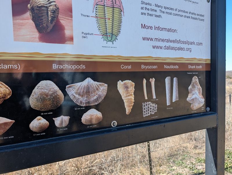 The Science Behind The Site