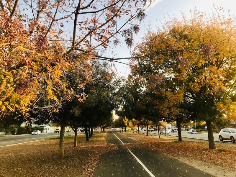 Clovis Old Town Trail, Clovis