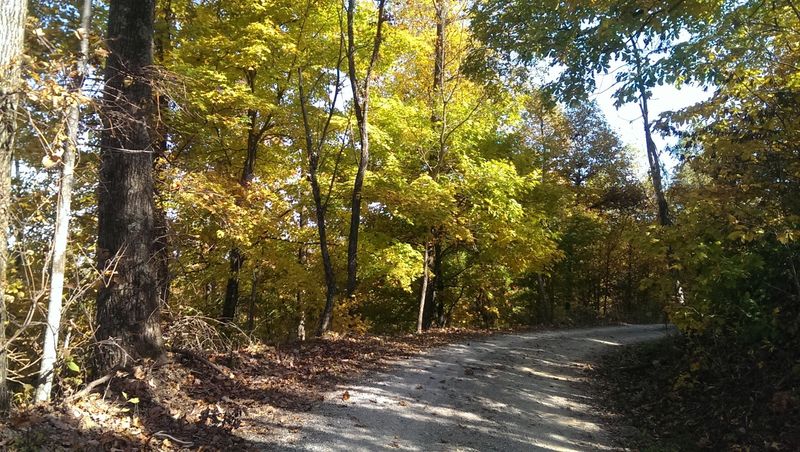 These 10 Road Adventures Have Been Crowned Kentucky's Best For 2026 - Decor Hint Little Shepherd Trail