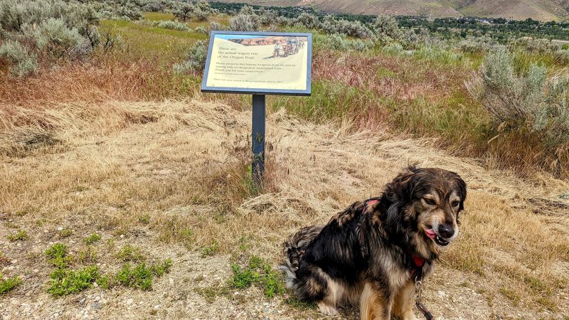 This Secluded Idaho Hike Leads To Centuries-Old Wagon Ruts - Decor Hint Family-Friendly From The First Step