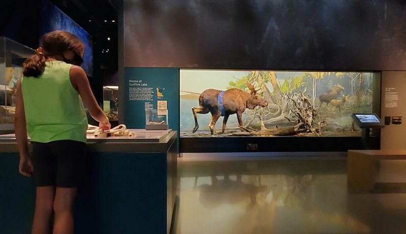 An Underrated Minnesota Planetarium Offers An Ethereal Experience - Decor Hint The Touch And See Lab