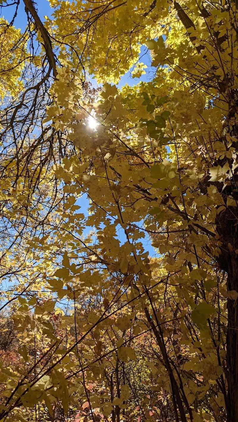 Seasonal Colors Worth Chasing