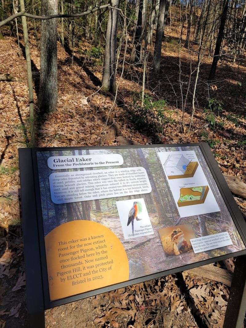 This Senior-Friendly Connecticut Nature Trail Offers Benches, Shade, And A Peaceful Woodland Walk - Decor Hint Trailside Signs Share Local Nature Details