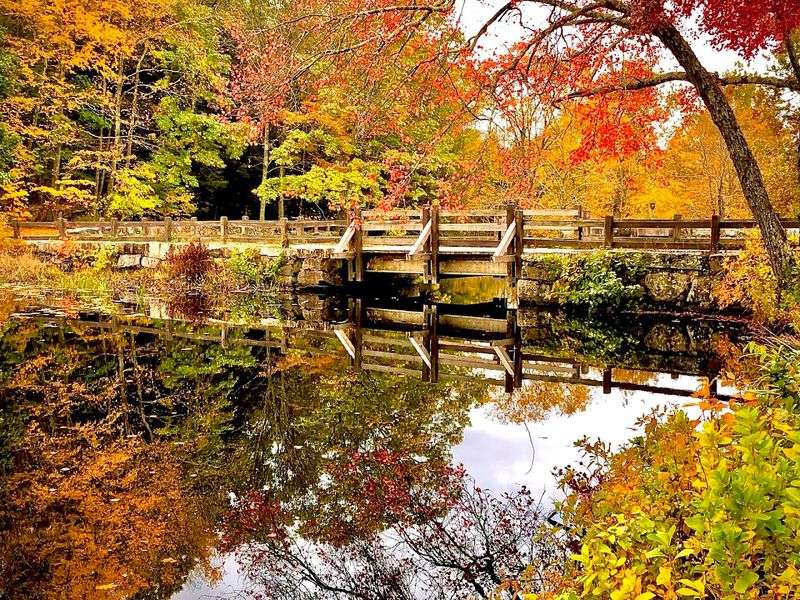 Fall Foliage That Earns Its Reputation