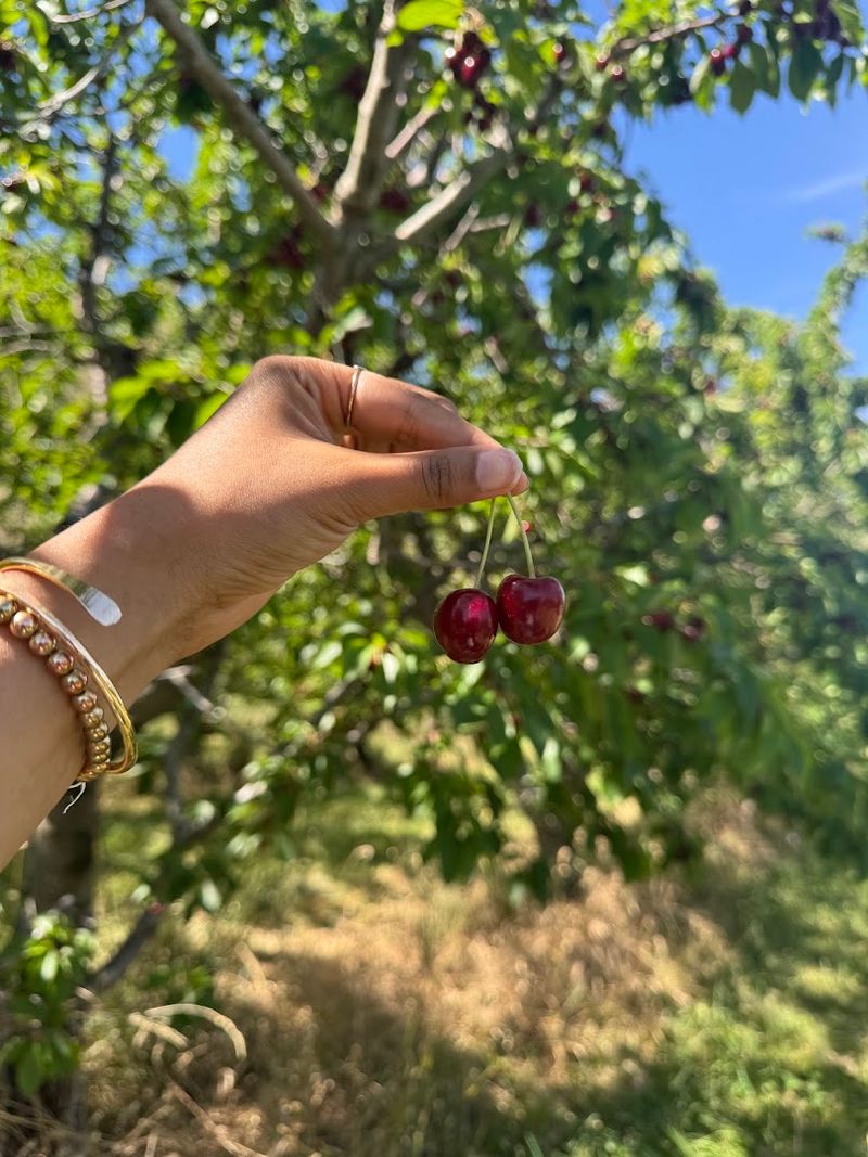 Williams Fruit Ranch, Emmett
