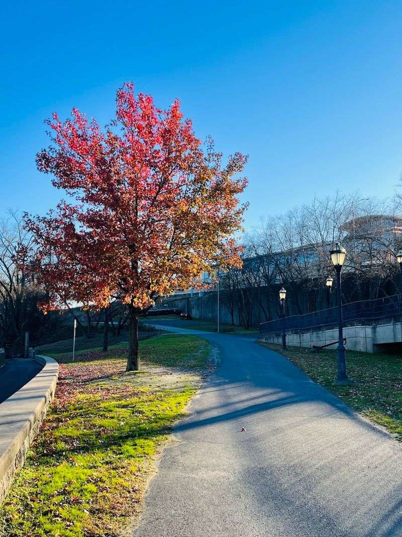 Few Walking Trails In Connecticut Feel As Peaceful And Scenic As These 8 Senior-Friendly Routes - Decor Hint Riverfront Recapture Riverwalk
