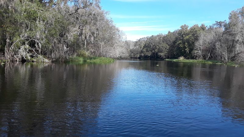 Alafia River, Lithia