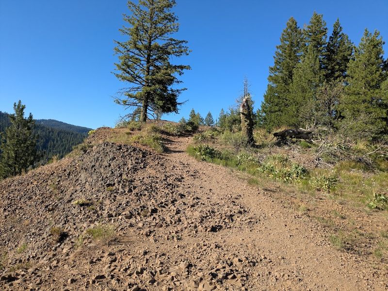 Ponderosa State Park Bike Trails