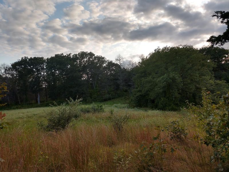 The Overlooked State Park In Connecticut You've Likely Never Heard Of - Decor Hint Open Fields Reveal The Site's Past