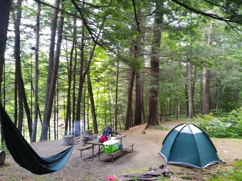 Escape The Crowds At These 10 Under-The-Radar Vermont Camping Spots - Decor Hint Townshend State Park