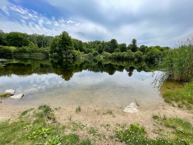 Two Small Ponds Draw Birds And Pollinators