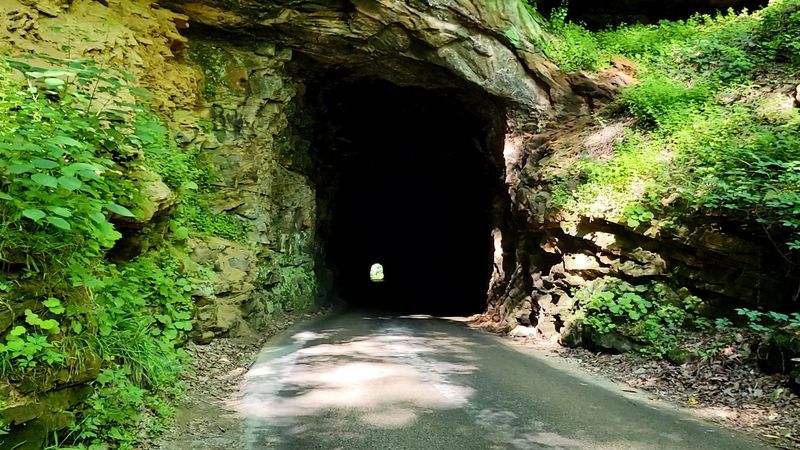 These 10 Road Adventures Have Been Crowned Kentucky's Best For 2026 - Decor Hint Red River Gorge Scenic Byway And Nada Tunnel