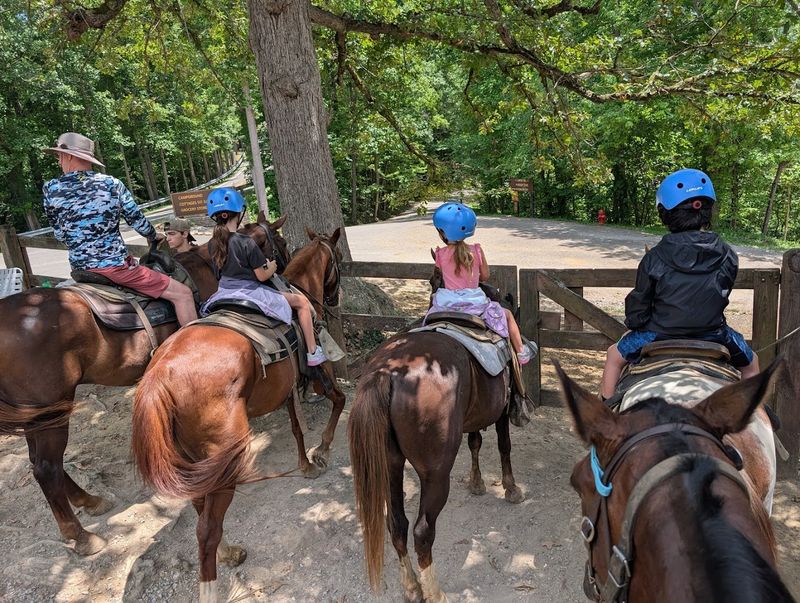 Cumberland Falls Horse Riding Stables