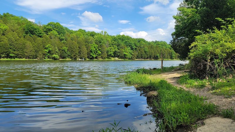 Why These 14 Kentucky Waterfront Campgrounds Are Every Summer Camper's Dream In 2026 - Decor Hint Kincaid Lake State Park
