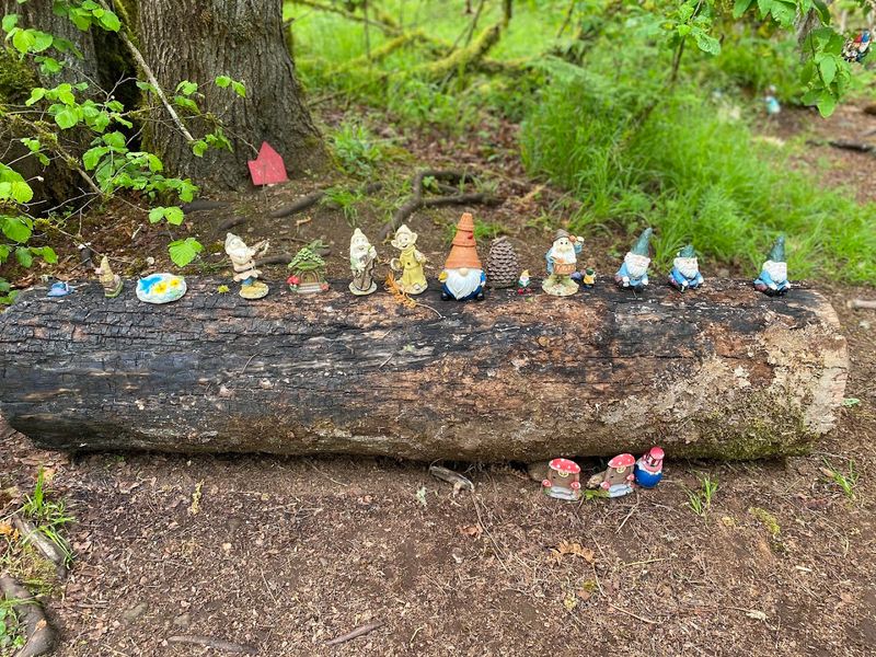 Washington's Most Enchanting Hidden Gnome Trail Will Spark Your Inner Child - Decor Hint Bring Your Own Gnome And Become Part Of The Story
