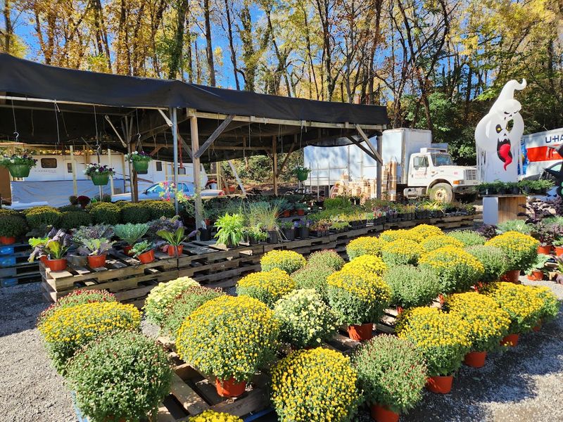 This Sleepy Georgia Town Has Everything You Could Want And Locals Hope It Stays Quiet - Decor Hint Why Locals Are Quietly Hoping You Keep This Between Us