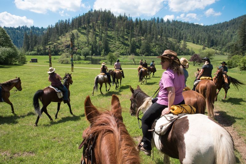 Meet Your Horse Before The Trail Sets The Pace