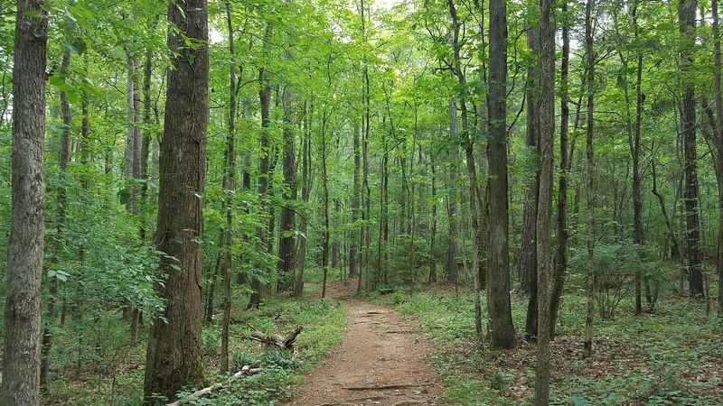 Over 1,000 Acres Of Trails To Explore