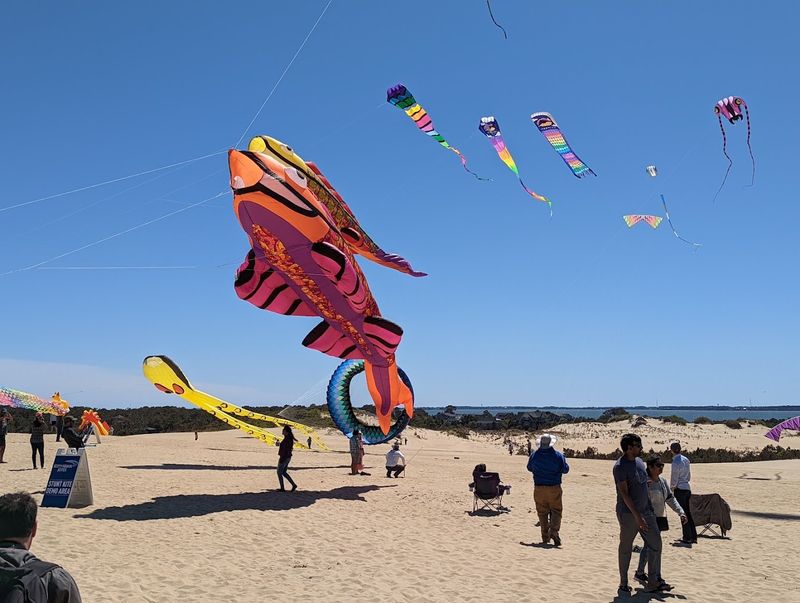Catch Demonstrations Above The Dunes