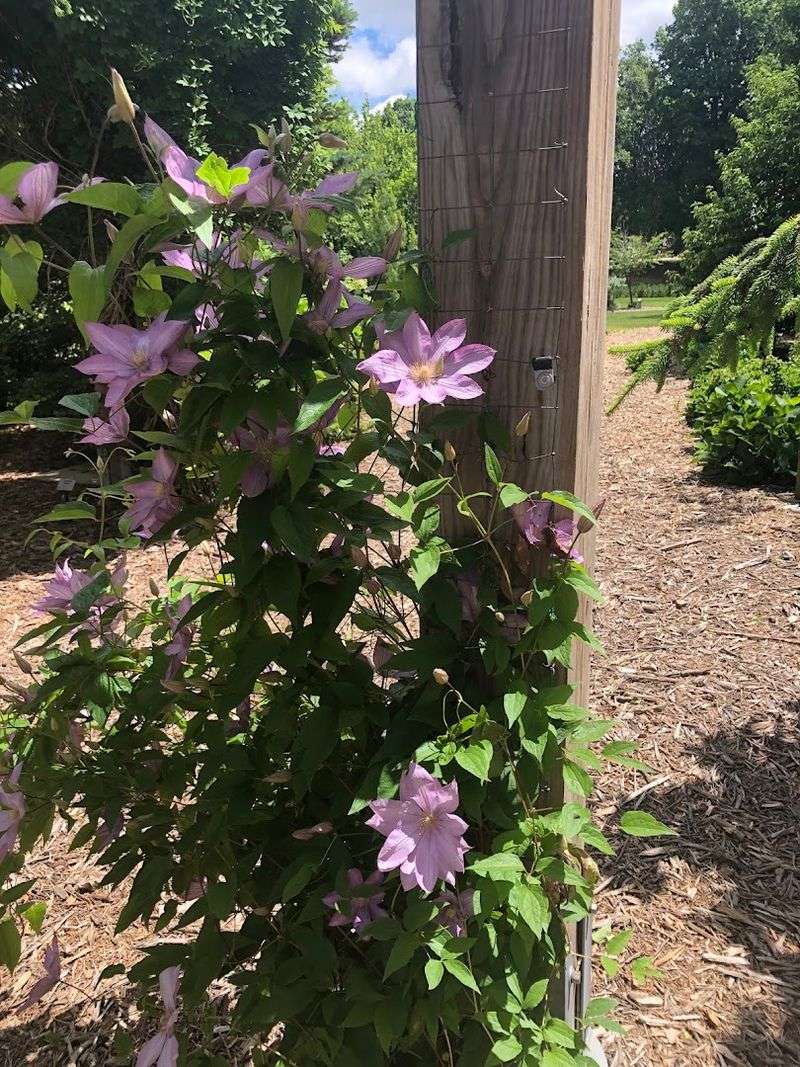 Open Prairie Brings Sunshine Back Into The Route