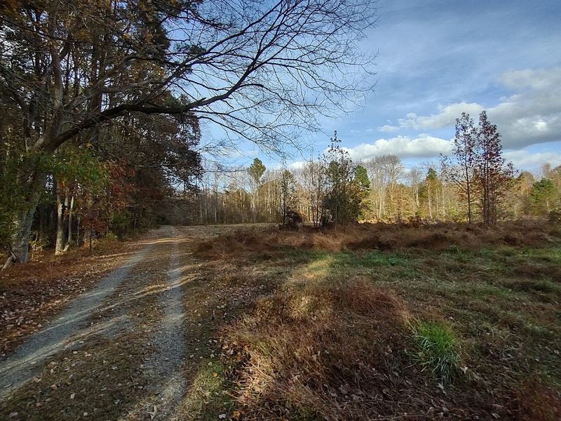 Pass Through Bottomland Forests, Wetlands, And Former Farmland