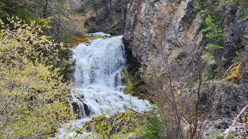 Rocky Sections Make The Short Hike Feel More Adventurous