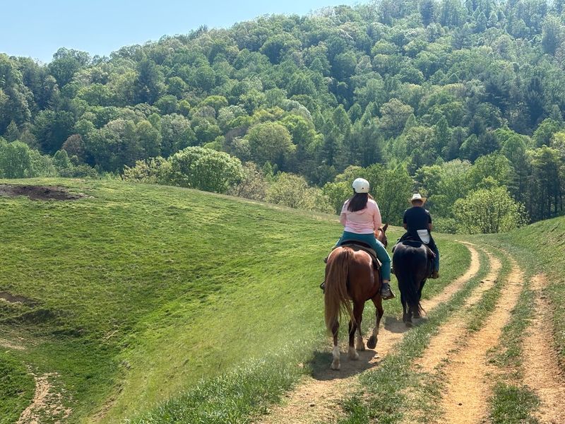 The Horse Ride That Sets The Mood
