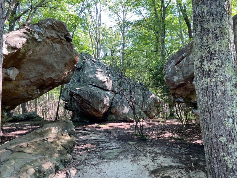 A Boulder Field That Defies Belief