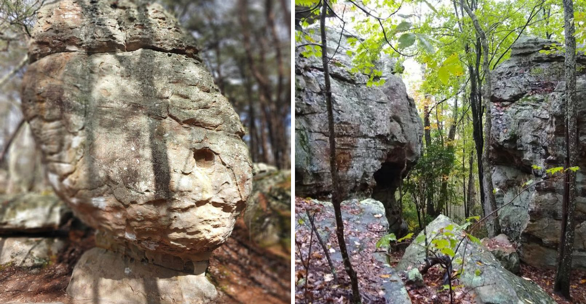 Youll Think Youve Landed On Another World On This Stunning Rock Formation Trail In Georgia - Decor Hint