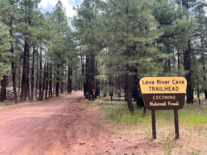 You'll Want To Experience This One-Of-A-Kind Underground Hike In Arizona - Decor Hint How A Lava Tube Gets Made